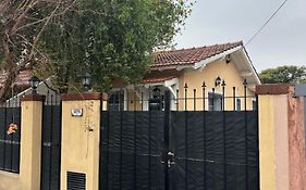 Casita Garden Junquillos